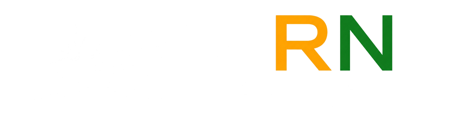 ZRN Solar Logo